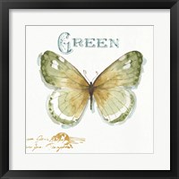 Framed 'My Greenhouse Butterflies IV' border=