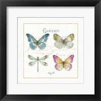 Rainbow Seeds Butterflies IV Framed Print