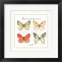 Rainbow Seeds Butterflies III Framed Print