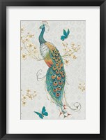 Framed Ornate Peacock IXA