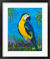 Island Birds II Framed Print