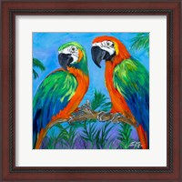 Framed 'Island Birds Square I' border=