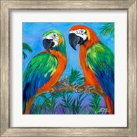 Framed 'Island Birds Square I' border=