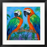 Framed 'Island Birds Square I' border=