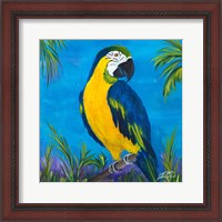 Framed 'Island Birds Square II' border=