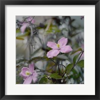 Springtime II Framed Print