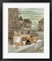 Framed Tea Rose Playtime