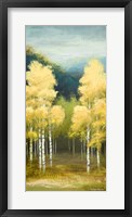 Birchwood II Framed Print