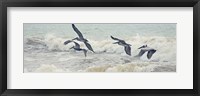 Pelican Panel I Framed Print