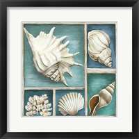 Collection of Memories III Framed Print