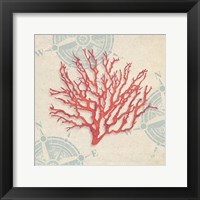 Ocean Gift IV Framed Print