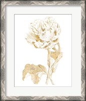 Framed 'Gilded Botanical VII' border=