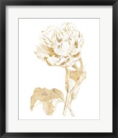 Gilded Botanical VII Framed Print