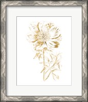 Framed 'Gilded Botanical VIII' border=