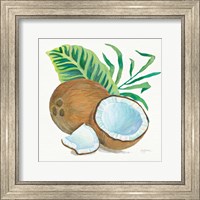 Framed 'Coconut Palm II' border=