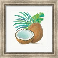 Framed 'Coconut Palm III' border=