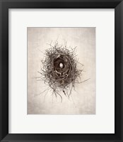 Framed 'Nest I' border=