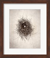 Framed 'Nest I' border=