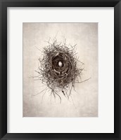 Nest I Framed Print