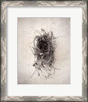 Framed 'Nest II' border=