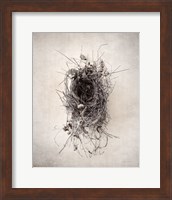 Framed 'Nest II' border=