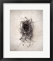 Nest II Framed Print