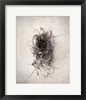 Framed Nest II