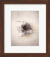 Framed 'Nest III' border=