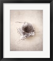 Nest III Framed Print