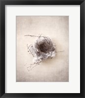 Framed Nest III