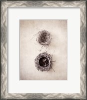 Framed 'Nest IV' border=