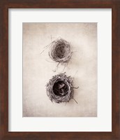 Framed 'Nest IV' border=