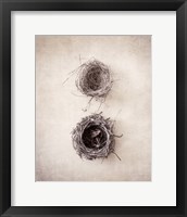 Nest IV Framed Print