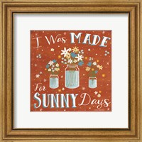 Framed 'Summer Sunshine VII' border=