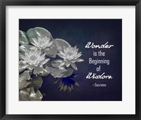 Framed Wonder is the Beginning of Wisdom Water Lily Black and White