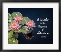 Framed Wonder is the Beginning of Wisdom Water Lily Color