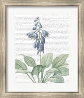 Framed 'Summer Botanicals II' border=