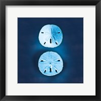 Cyanotype Sea IV Framed Print