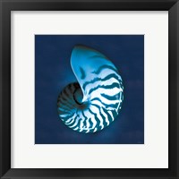 Framed 'Cyanotype Sea I' border=