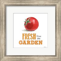 Framed 'Fresh From the Garden V No Border Sq' border=