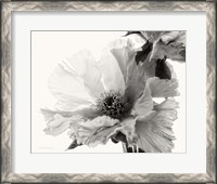 Framed 'Translucent Peony V BW' border=