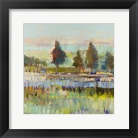 Framed Colorful Fields