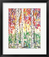 Framed Colorful Birch Forest