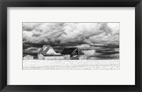 Framed Five White Barns