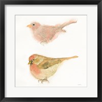 Watercolor Birds II Sq Framed Print