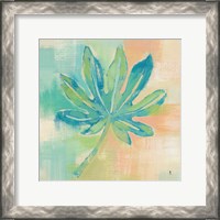 Framed 'Beach Cove Leaves IV' border=