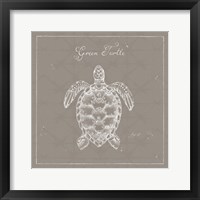 Underwater Life XVI Greige Framed Print