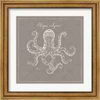 Framed 'Underwater Life XI Greige' border=