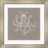 Framed 'Underwater Life XI Greige' border=