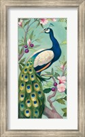 Framed Pretty Peacock II